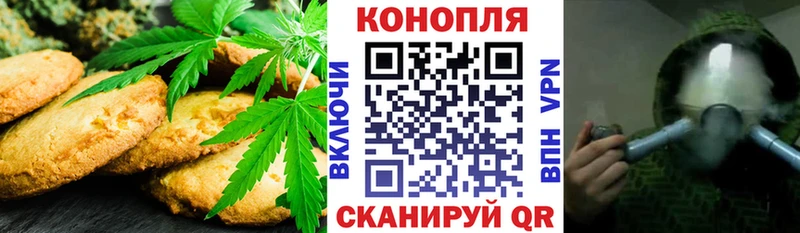 MEGA   Змеиногорск  Cannafood конопля 