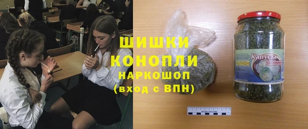 PSILOCYBIN Горняк