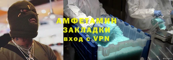 PSILOCYBIN Горняк