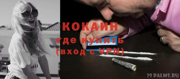 PSILOCYBIN Горняк