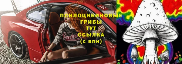 MESCALINE Тайга