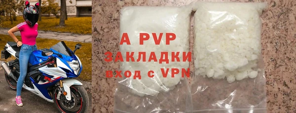 PSILOCYBIN Горняк