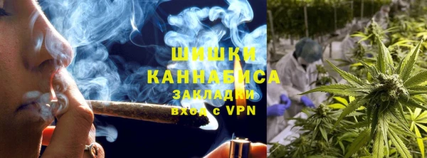 PSILOCYBIN Горняк