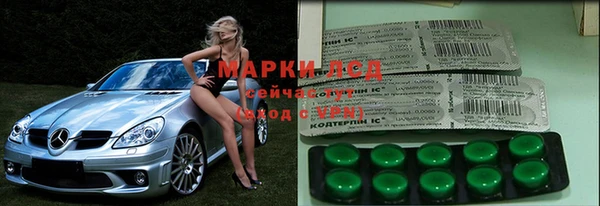 PSILOCYBIN Горняк