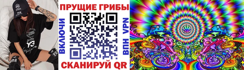 Псилоцибиновые грибы Psilocybe  как найти наркотики  Змеиногорск 